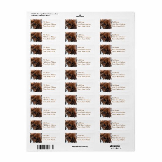 Basset Hound Design Mailing Label (Full Sheet)
