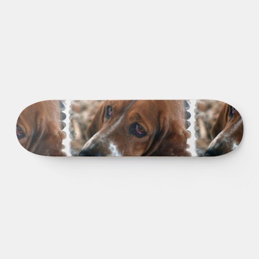 Basset Hound Design Skateboard (Horizontaal)