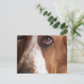 Basset Hound Dog Briefkaart (Staand voorkant)
