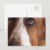 Basset Hound Dog Briefkaart (Voorkant / Achterkant)