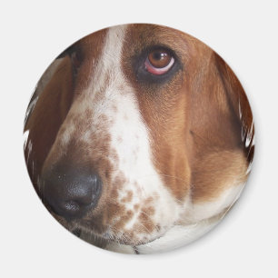 Basset Hound Dog Circular Magnet