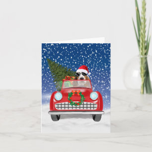 Basset Hound Dog Driving Car In Snow Christmas Kaart