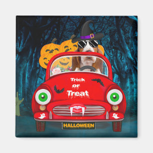 Basset Hound Dog Driving Car Scary Halloween Magneet