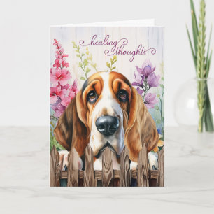 Basset Hound Dog Garden Gladiolus wordt beter Kaart