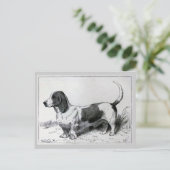 "Basset Hound"  Dog Illustratie Briefkaart (Staand voorkant)
