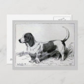 "Basset Hound"  Dog Illustratie Briefkaart (Voorkant / Achterkant)