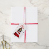Basset Hound Dog in Santa Bag Cadeaulabel (Met Touw)