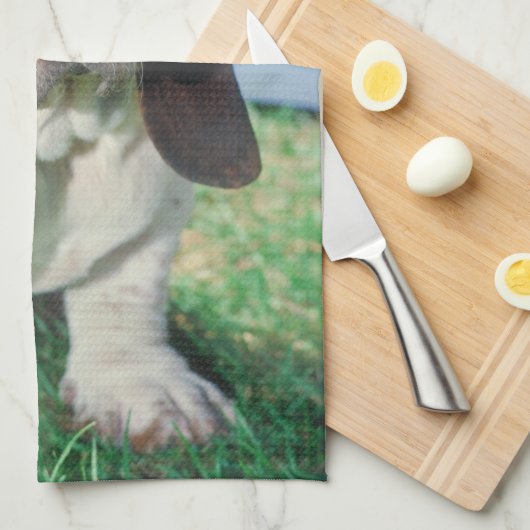 Basset Hound Dog Kitchen Towel Theedoek (Quarter Fold)