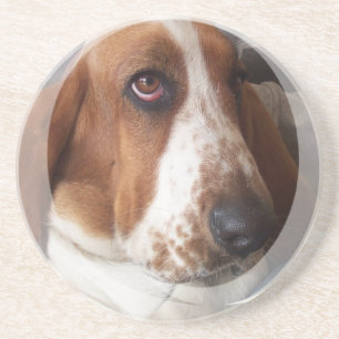 Basset Hound Dog Onderzetters