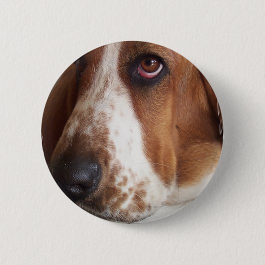 Basset Hound Dog Round Pin Ronde Button 5,7 Cm (Voorkant)