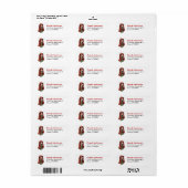 Basset Hound Dog Sunbrig Return Address Etiket (Full Sheet)