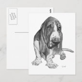 Basset Hound Drawing Briefkaart (Voorkant / Achterkant)