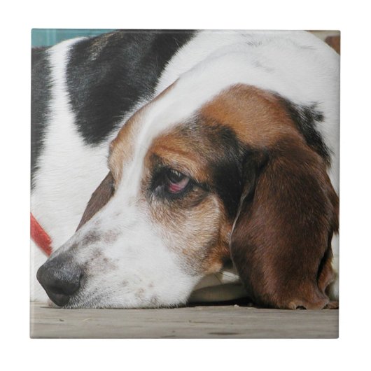 Basset Hound-factitegel Tegeltje (Voorkant)
