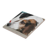 Basset Hound-factitegel Tegeltje (Zijkant)