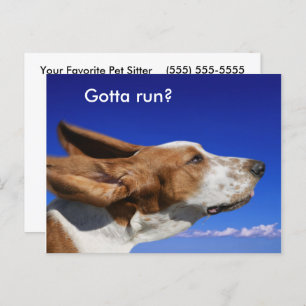 Basset Hound Flappende oren in Blue Sky Pet Sitter Briefkaart