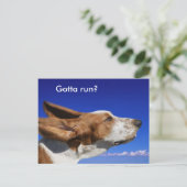 Basset Hound Flappende oren in Blue Sky Pet Sitter Briefkaart (Staand voorkant)