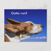Basset Hound Flappende oren in Blue Sky Pet Sitter Briefkaart (Voorkant)