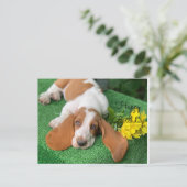 Basset hound gelukkige verjaardag postkaart (Staand voorkant)