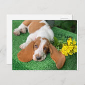 Basset hound gelukkige verjaardag postkaart (Voorkant / Achterkant)