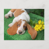 Basset hound gelukkige verjaardag postkaart (Voorkant)