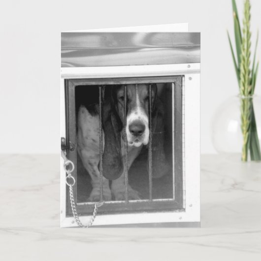 basset hound-gevangenis kaart (Voorkant)