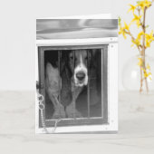 basset hound-gevangenis kaart (Gele Bloem)