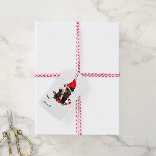Basset Hound Gift Labels Cadeaulabel (Met Touw)