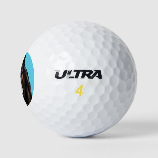 Basset Hound Golfballen (Logo)