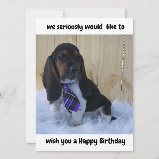 Basset hound Happy Birthday-kaart (Voorkant)