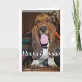Basset hound Happy Birthday-kaart Kaart