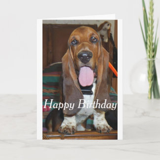 Basset hound Happy Birthday-kaart Kaart