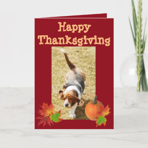 Basset Hound "Happy Thanksgiving"-kaart met pompoe Feestdagen Kaart