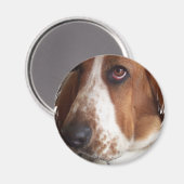 Basset Hound Hond Cirkelmagneet Magneet (Voorkant / Achterkant)