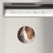 Basset Hound Hond Cirkelmagneet Magneet (Insitu (Vaatwasser))