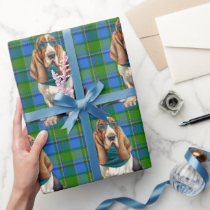 Basset Hound-hond met een turquoise sjaal met mono Cadeaupapier