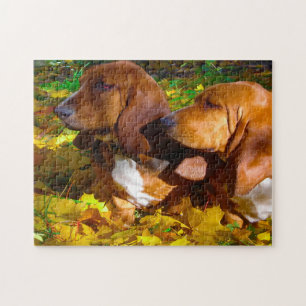 Basset Hound honden. Legpuzzel