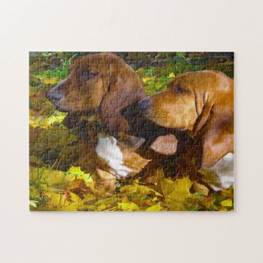 Basset Hound honden. Legpuzzel (Horizontaal)