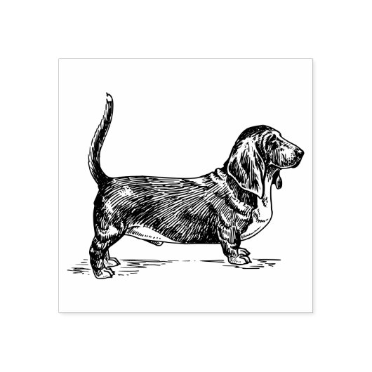 Basset Hound Hondenras Rubberstempel (Afrduk)