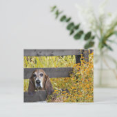 Basset Hound howdy Briefkaart (Staand voorkant)