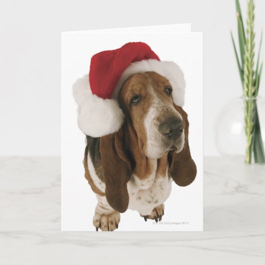 Basset Hound in het Pet van de Kerstman Feestdagen Kaart (Voorkant)