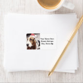Basset Hound in Santa Hat Etiket (Insitu)