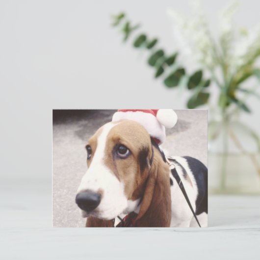 Basset Hound in Santa Hat Feestdagenkaart (Staand voorkant)