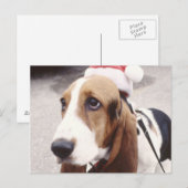 Basset Hound in Santa Hat Feestdagenkaart (Voorkant / Achterkant)