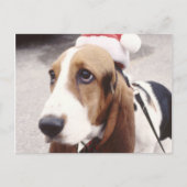 Basset Hound in Santa Hat Feestdagenkaart (Voorkant)