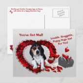 Basset Hound Je hebt Mail Puppy Knuffels Valentijn Feestdagenkaart (Voorkant / Achterkant)