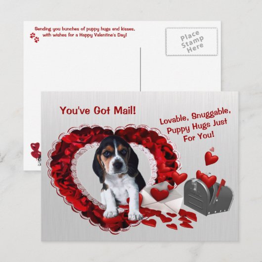 Basset Hound Je hebt Mail Puppy Knuffels Valentijn Feestdagenkaart (Voorkant / Achterkant)