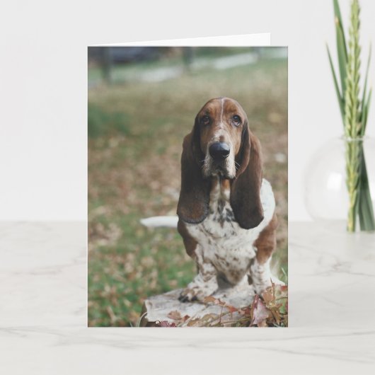Basset Hound Kaart (Voorkant)