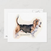 Basset Hound-kaart Briefkaart (Voorkant / Achterkant)
