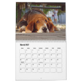 Basset Hound Kalender (Mar 2027)