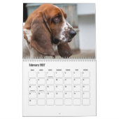 Basset Hound Kalender (Feb 2027)